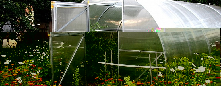 Выбор теплицы - как поступить правильно Выбор теплицы - как поступить правильно